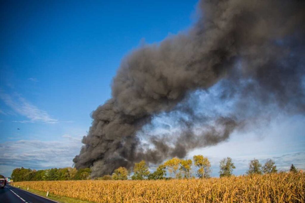 Como funciona o licenciamento ambiental no Paraná